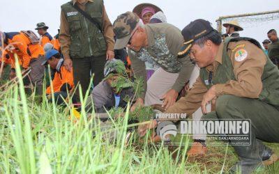 10 Ribu Pohon Ditanam Untuk Mengembalikan Fungsi Hutan
