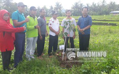 60 Bibit Durian Mimang Ditanam di Tepi Jalan Pucang Jenggawur
