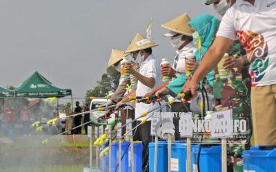 Bersama Forkompinda, Bupati Pimpin Penyemprotan Massal 20 Hektar Lahan Produktif