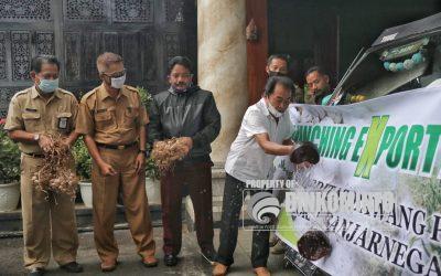 Banjarnegara Ekspor Perdana 10 Ton Bawang ke Taiwan