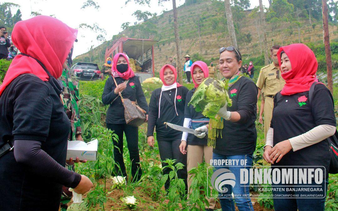 Harga Anjlok, TP PKK Banjarnegara Borong Sayuran Petani