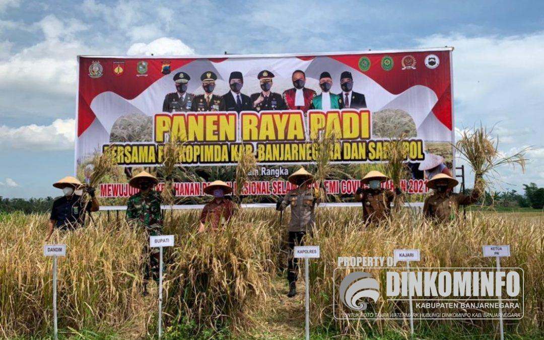 Polres Banjarnegara Panen Raya Padi bersama Petani