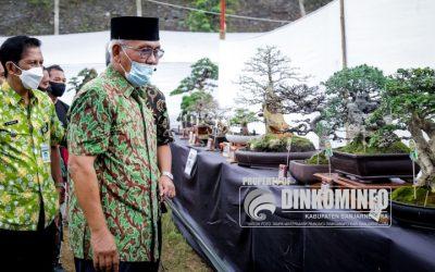 600 Bonsai Ikuti Kontes dan Pameran di Banjarnegara