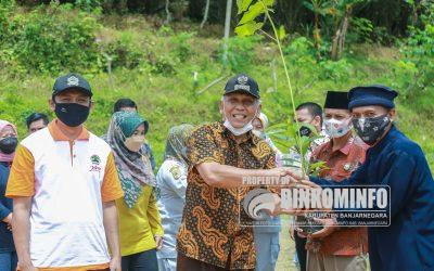 35.000 Bibit Pohon Ditanam di Desa Majatengah