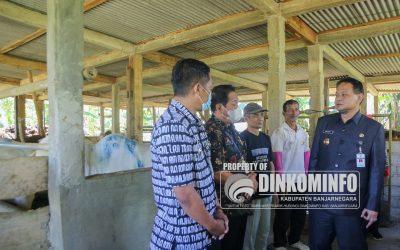 Tekan Penyebaran PMK, Hewan Ternak Sehat di Banjarnegara Disuntik Vaksin