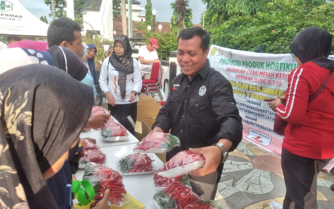 Dinas Pertanian, Perikanan dan Ketahanan Pangan Gelar Promosi Produk Hortikultura, Hadirkan Cabai Harga Murah