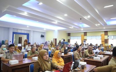 Dinkominfo Gandeng BPS Berikan Sosialisasi Prosedur Rekomendasi untuk Data Statistik