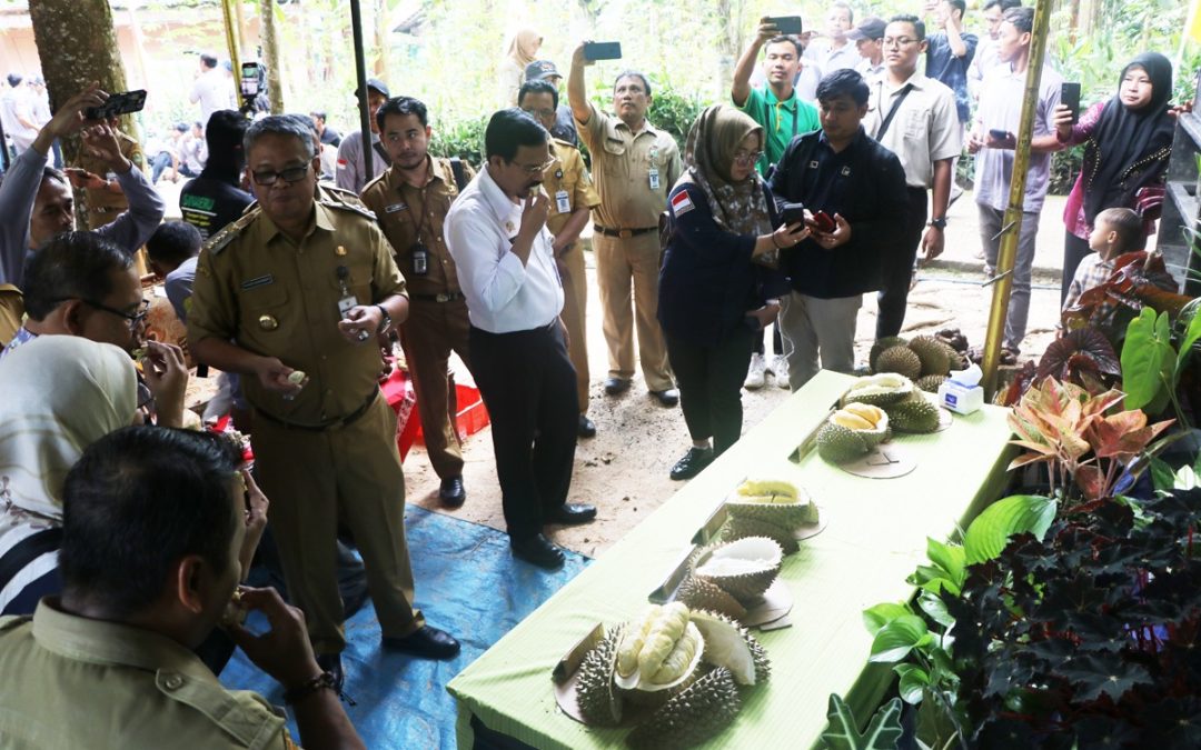 Petani Durian di Desa Gembongan Tingkatkan Kualitas Produksi Dengan Model TOP Working