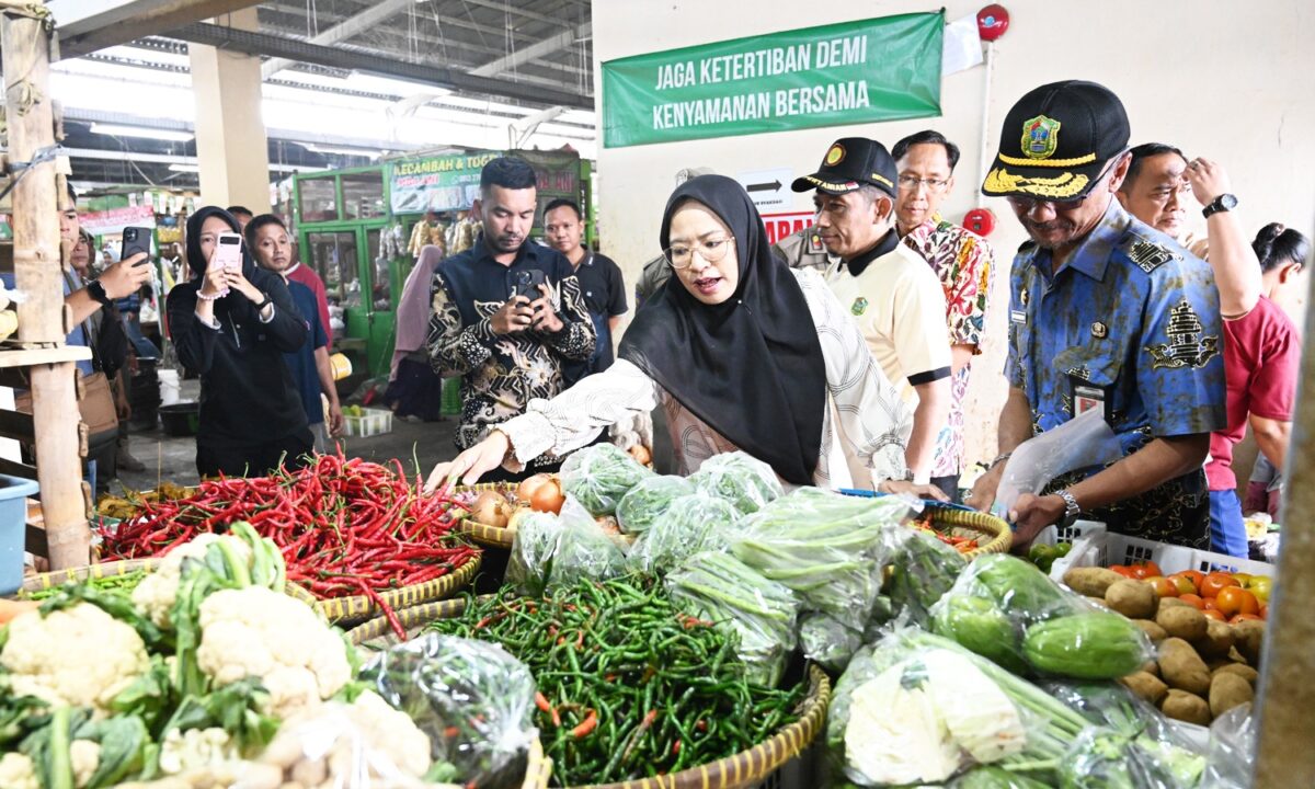 WhatsApp Image 2025-03-07 at 14.37.12