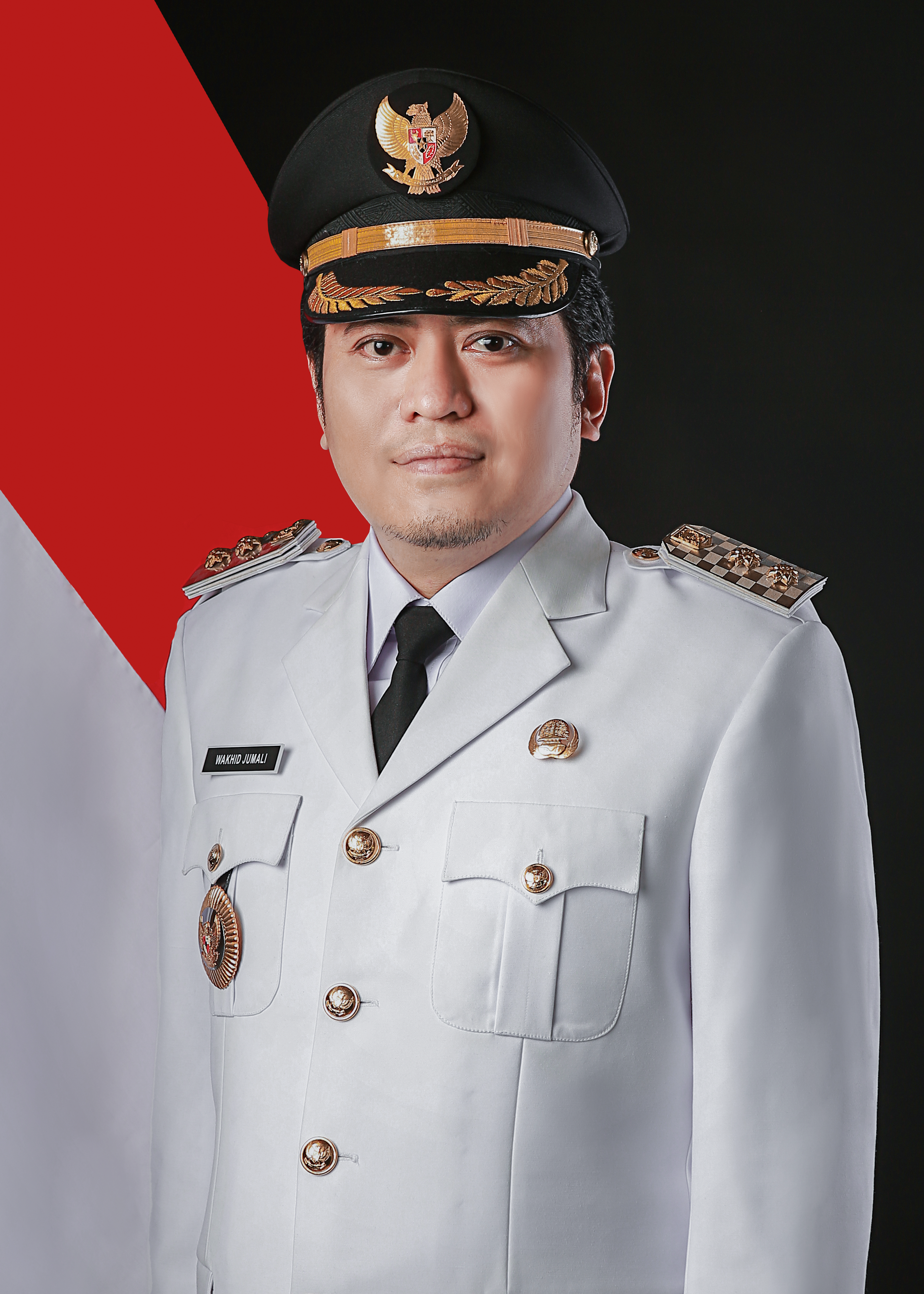 png wakil bupati