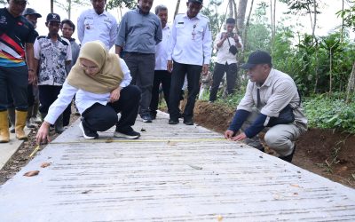 Bupati Tinjau Jalan Usaha Tani di Plorengan, Dorong Produktivitas Pertanian