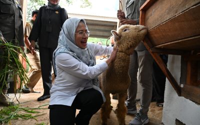 Pemkab Banjarnegara Bantu Petani Desa Giritirta Melalui Program UPLAND
