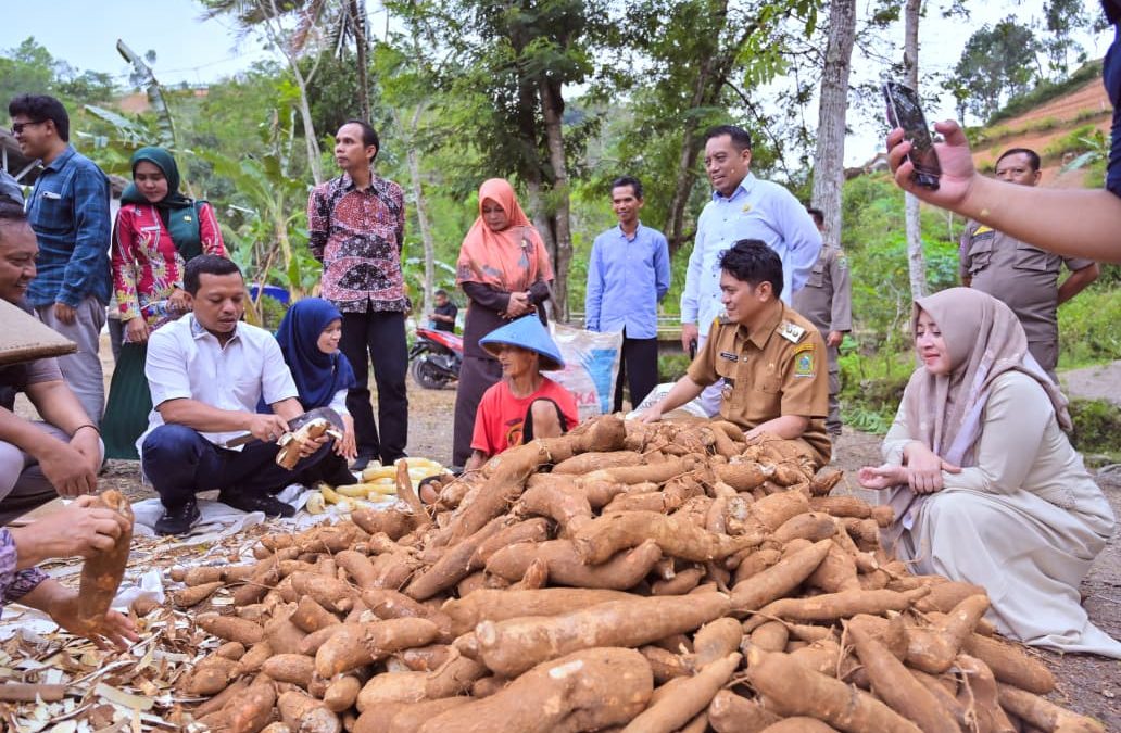 Kabupaten Banjarnegara dan Pringsewu Jajaki Kerja Sama Pengembangan Mocaf dan Pertanian