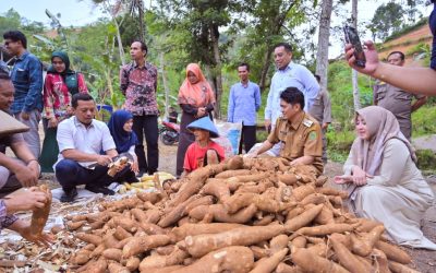 Kabupaten Banjarnegara dan Pringsewu Jajaki Kerja Sama Pengembangan Mocaf dan Pertanian