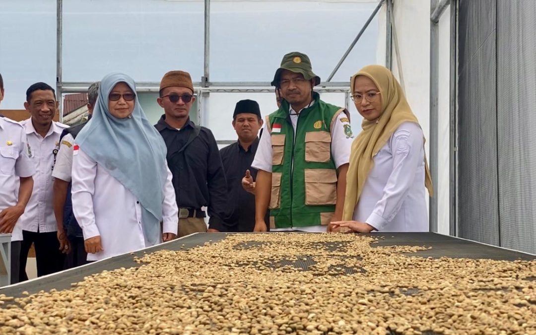 Pemkab Banjarnegara Terus Pacu Potensi Kopi Arabika di Lereng Kalibening