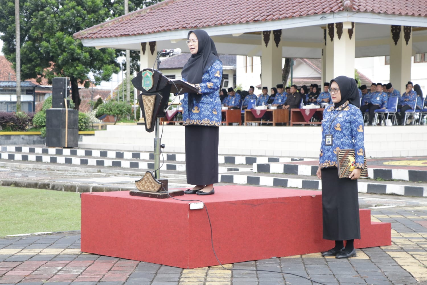 WhatsApp Image 2025-12-17 at 13.08.50